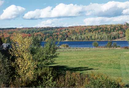 Fall view